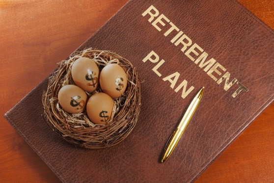 Retirment Plan book on a table with a bird nest full of money eggs